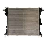 Radiatore del motore