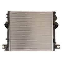 Radiatore del motore