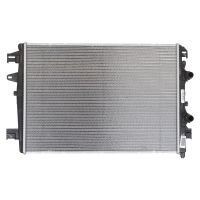 Radiatore del motore