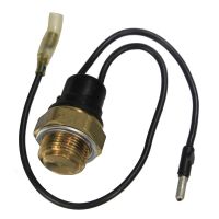 Interruttore termico per l'accensione del radiatore