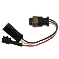 Interruttore termico per l'accensione del radiatore