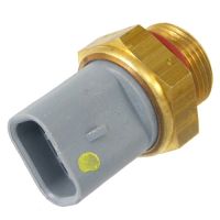 Interruttore termico di accensione del radiatore