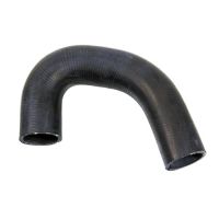 Fondo del tubo flessibile del radiatore Termostato