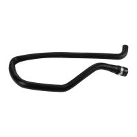 Tubo flessibile del radiatore Serbatoio di equalizzazione