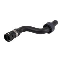 Tubo flessibile del radiatore Serbatoio di compensazione Motore