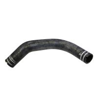 fondo del tubo flessibile del radiatore