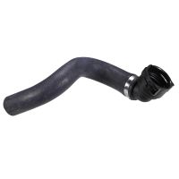 Tubo flessibile del radiatore Potenza motore