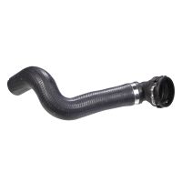 Tubo flessibile del radiatore Fondo del vaso di espansione