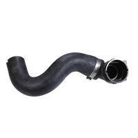 Tubo flessibile del radiatore sul fondo del radiatore