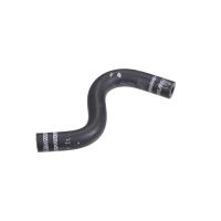 Tubo flessibile del radiatore su vaso di espansione