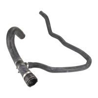 Tubo flessibile del radiatore sul fondo del radiatore