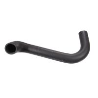 Tubo flessibile del radiatore al termostato