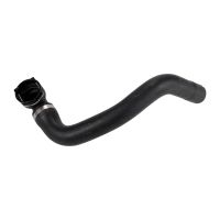 tubo flessibile del radiatore