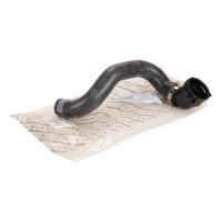 tubo flessibile del radiatore