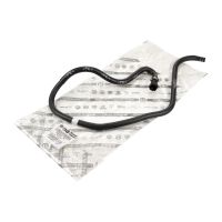 Tubo flessibile del radiatore dal vaso di espansione