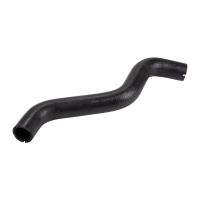 Ingresso tubo flessibile del radiatore