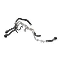 Ingresso EGR tubo radiatore