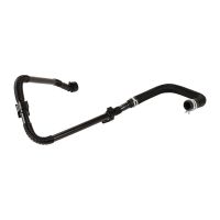 Tubo flessibile del radiatore dal raccordo al vaso di espansione