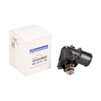 Termostato con custodia