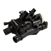 Termostato, liquido di raffreddamento