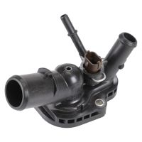 Termostato, liquido di raffreddamento