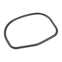 guarnizione del termostato