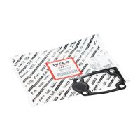 Guarnizione del termostato