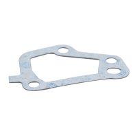 guarnizione del termostato