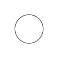 Anello di tenuta pompa acqua