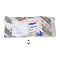 Guarnizione del raffreddatore