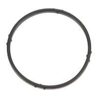 guarnizione della pompa dell'acqua