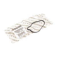 Guarnizione termostato