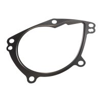 Guarnizione della pompa dell'acqua