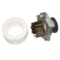 Pompa dell'acqua Grande ruota della pompa dell'acqua