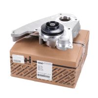 Pompa dell'acqua originale