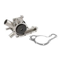 Pompa acqua con puleggia