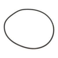 Pompa dell'acqua con O-ring