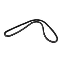 Cinghia trapezoidale ad old prestazioni 10A1050C