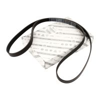 Cinghia con nervatura a V 6K1856