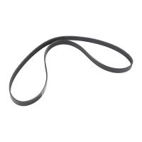 cinghia di distribuzione