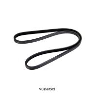 Cintura a V 3PK0719-3PK0719-3PK0720