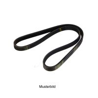 Cintura a V 4PK673 / 5