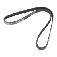 Cinghia Poly-V 5PK1125 DAYCO