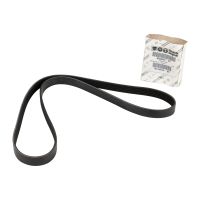 Cintura con nervature a V 5PK1125