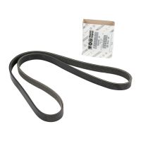 Cinghia scanalata a V 5K1155