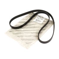 Cinghia a V 5K1215-8 OE