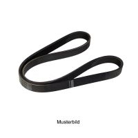 Cintura a V 5K1275-80