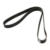 Cintura a V 7PK1334S DAYCO