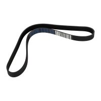 Cinghia con nervatura a V 6K0946