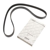 Cinghia Poly-V 6K1160